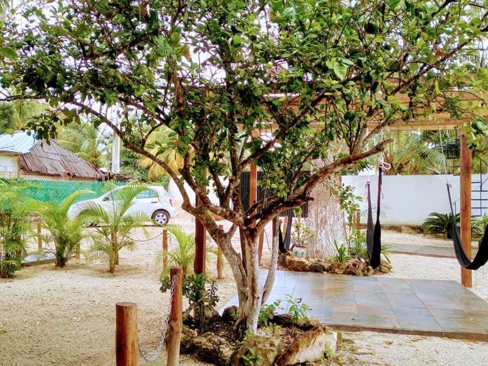 Cedro Rojo Hotell Bacalar Eksteriør bilde